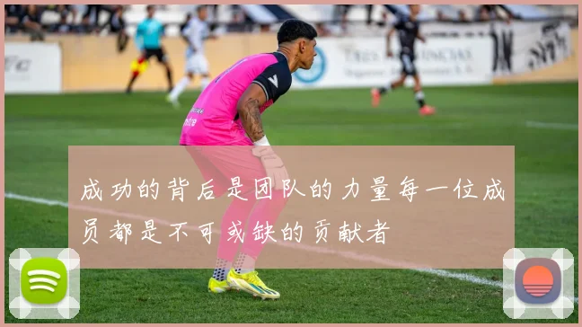 成功的背后是团队的力量每一位成员都是不可或缺的贡献者