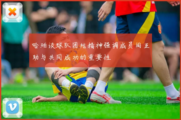 哈珀谈球队团结精神强调成员间互助与共同成功的重要性