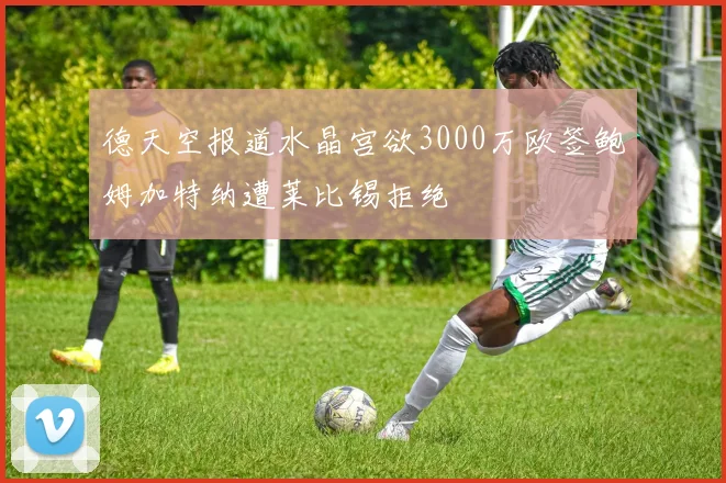德天空报道水晶宫欲3000万欧签鲍姆加特纳遭莱比锡拒绝