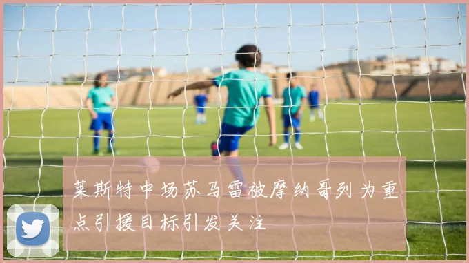 莱斯特中场苏马雷被摩纳哥列为重点引援目标引发关注