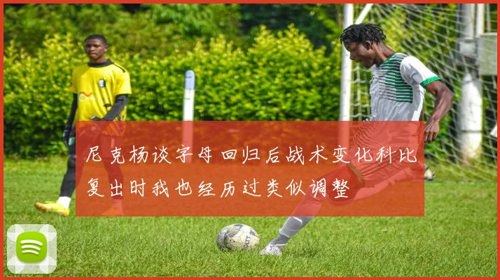 尼克杨谈字母回归后战术变化科比复出时我也经历过类似调整