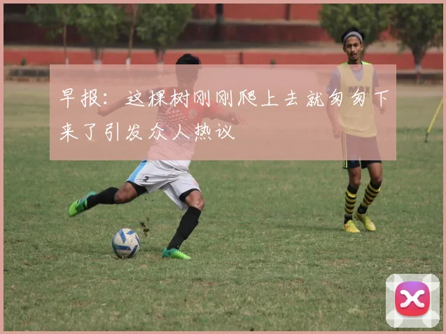 早报：这棵树刚刚爬上去就匆匆下来了引发众人热议