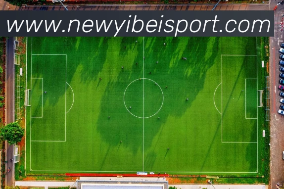 易倍体育发展历程